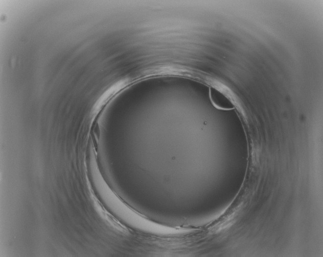 X0000061750954200512091632