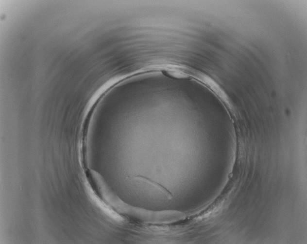 X0000061750955200512091632