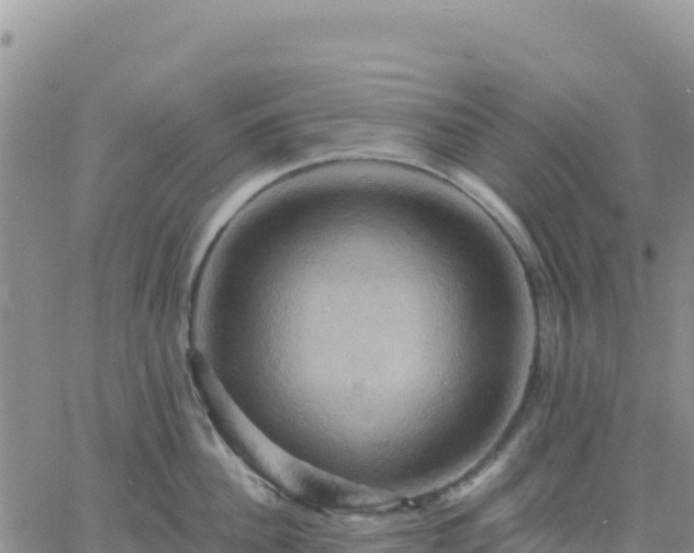 X0000061750956200512091632