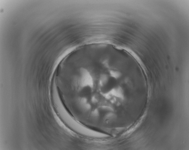 X0000061750957200512091632