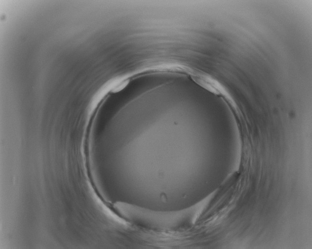 X0000061750959200512091632