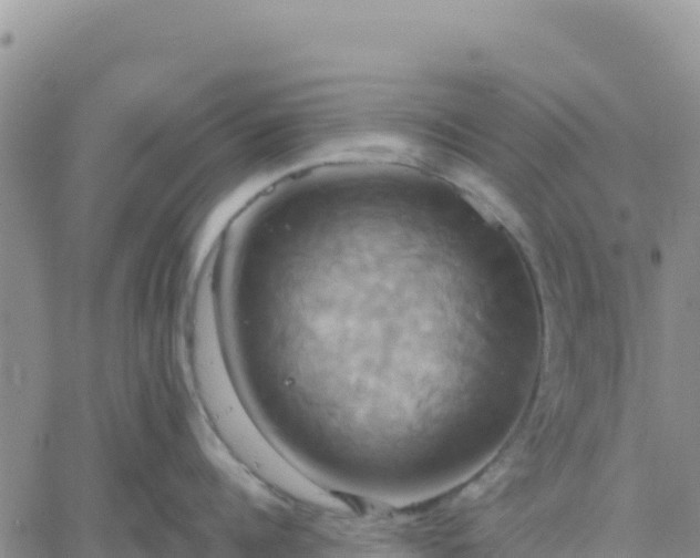 X0000061750960200512091632