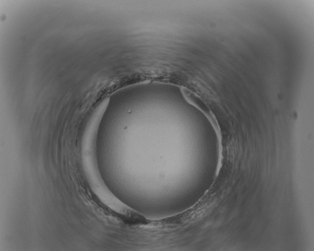 X0000061750961200512091632