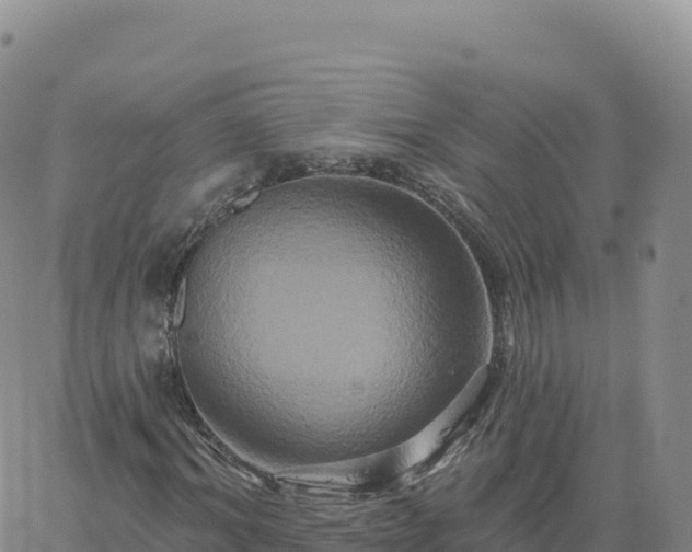 X0000061750964200512091632