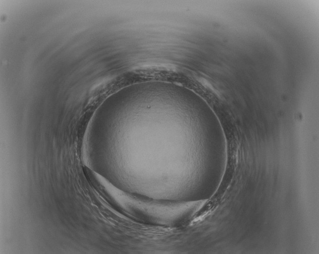 X0000061750965200512091632