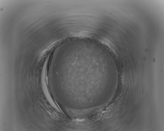 X0000061750968200512091631