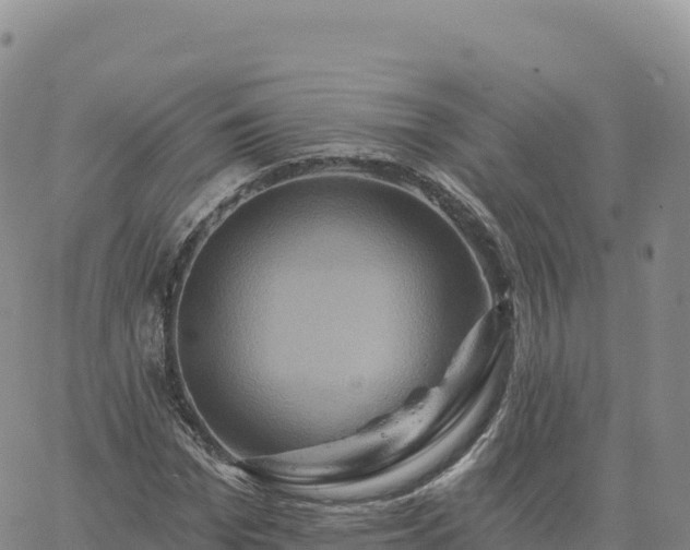 X0000061750969200512091631