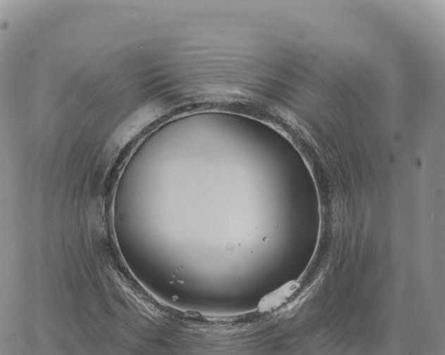 X0000061750970200512091631