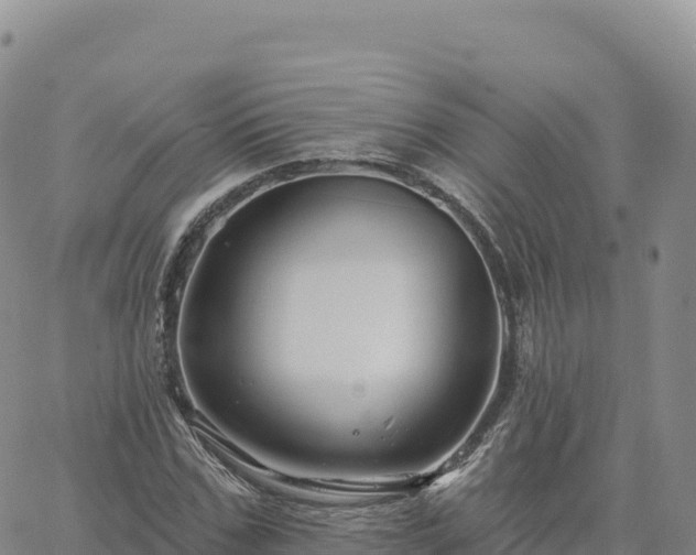 X0000061750971200512091631