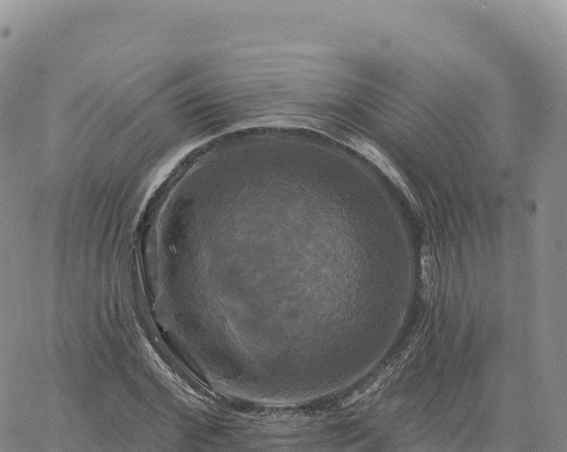 X0000061750972200512091631