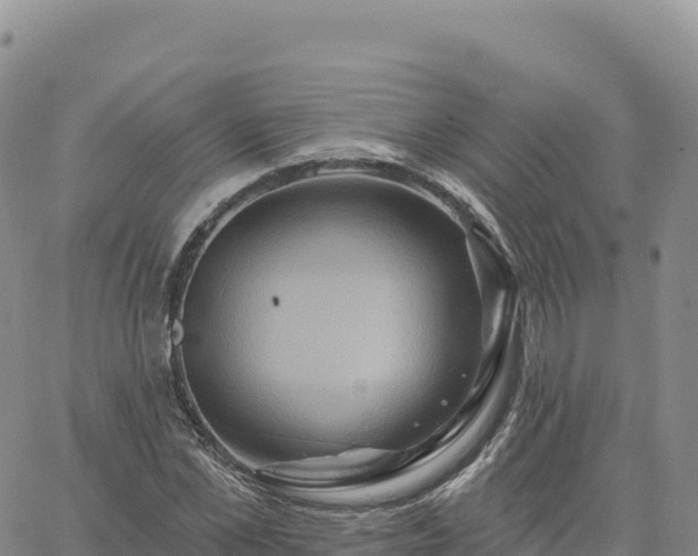 X0000061750973200512091631