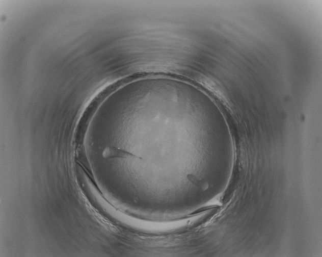 X0000061750976200512091631