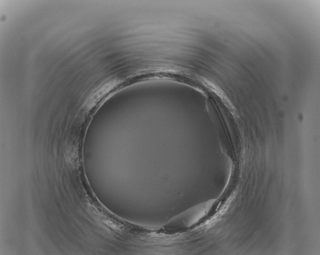 X0000061750977200512091631