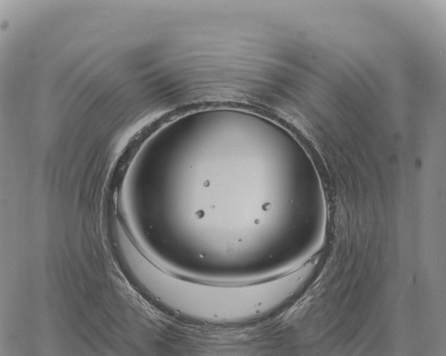 X0000061750979200512091631