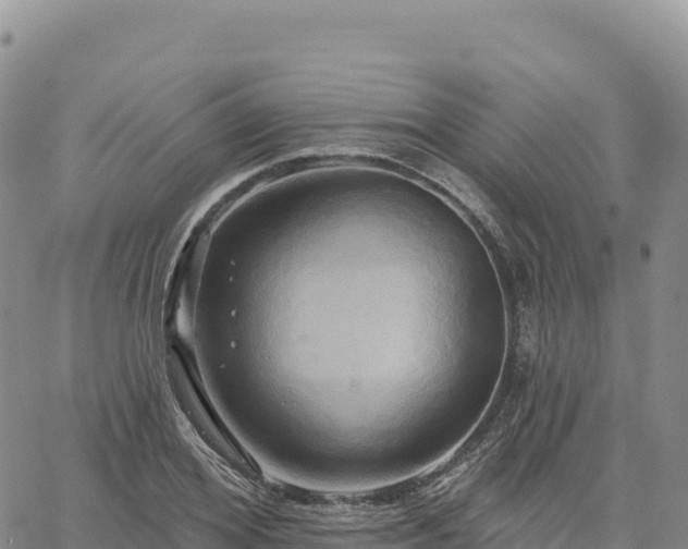 X0000061750980200512091631