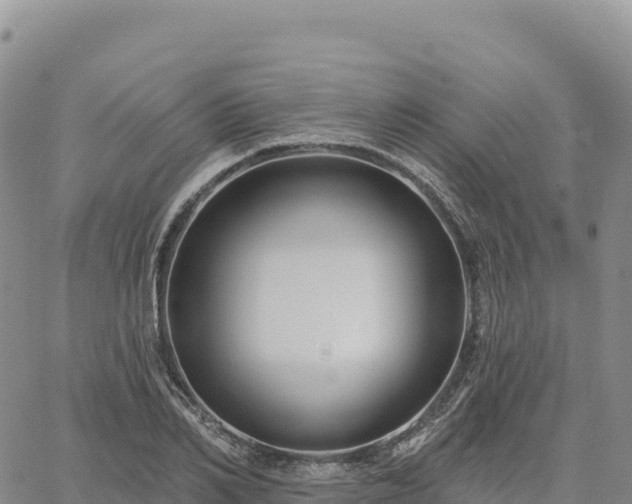 X0000061750982200512091631