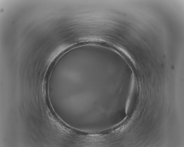 X0000061750983200512091631