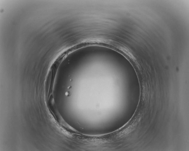 X0000061750984200512091631