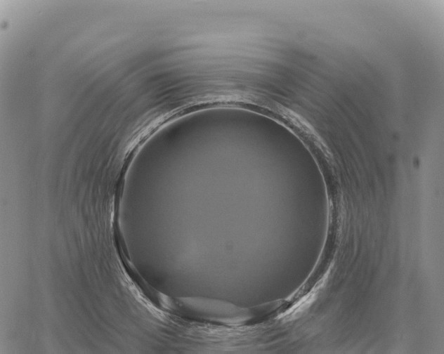 X0000061750985200512091631