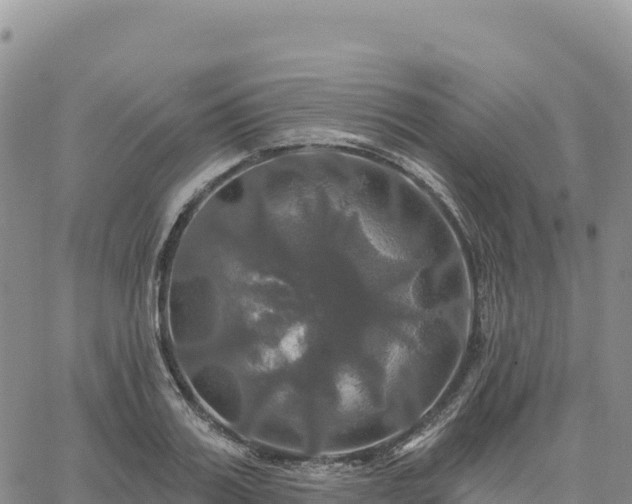 X0000061750987200512091631