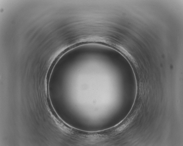 X0000061750988200512091631