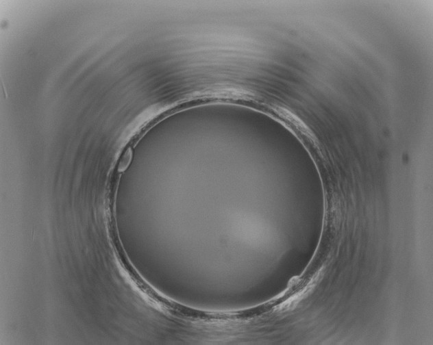 X0000061750989200512091631