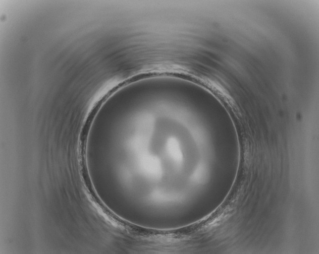 X0000061750990200512091631