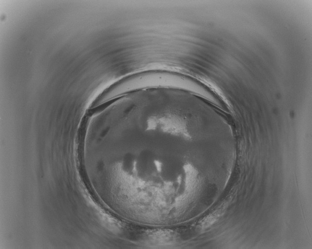 X0000061750991200512091631