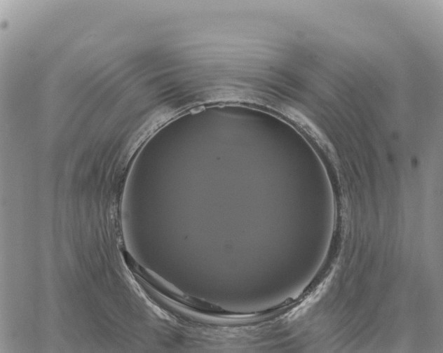 X0000061750993200512091631