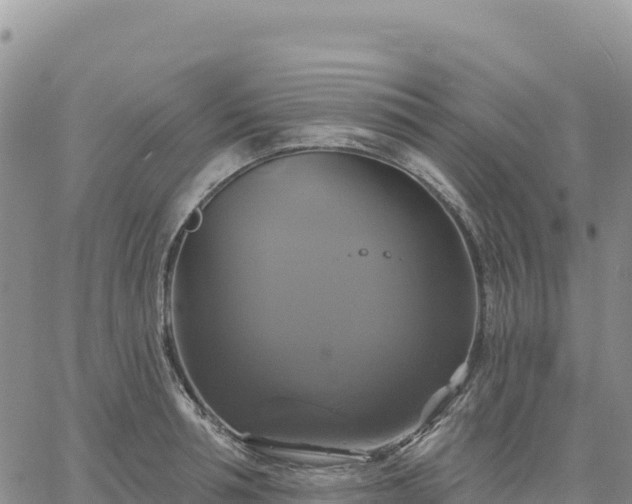 X0000061750994200512091631