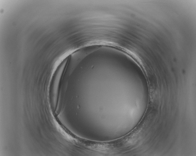 X0000061750995200512091631