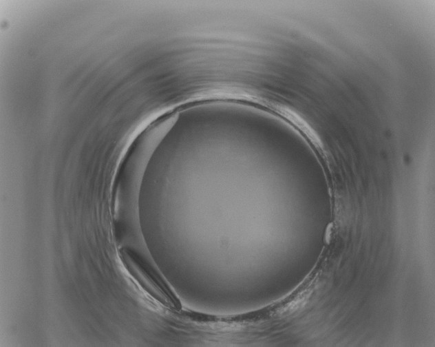 X0000061750996200512091631