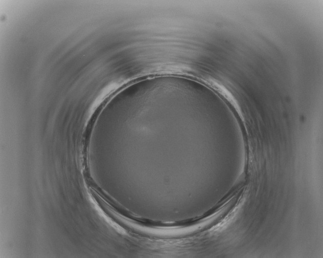 X0000061750997200512091631