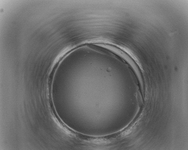 X0000061750998200512091631