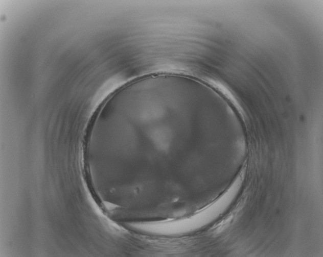 X0000061750999200512091631