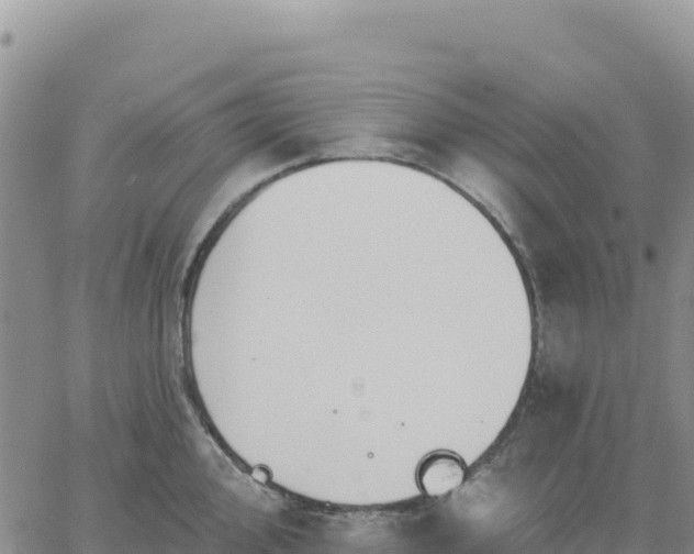 X0000061751000200512091631