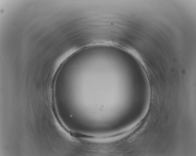 X0000061751003200512091631