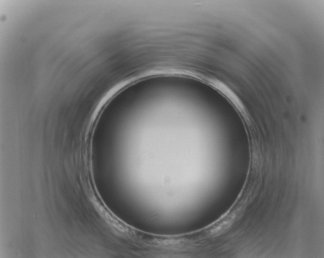 X0000061751004200512091631