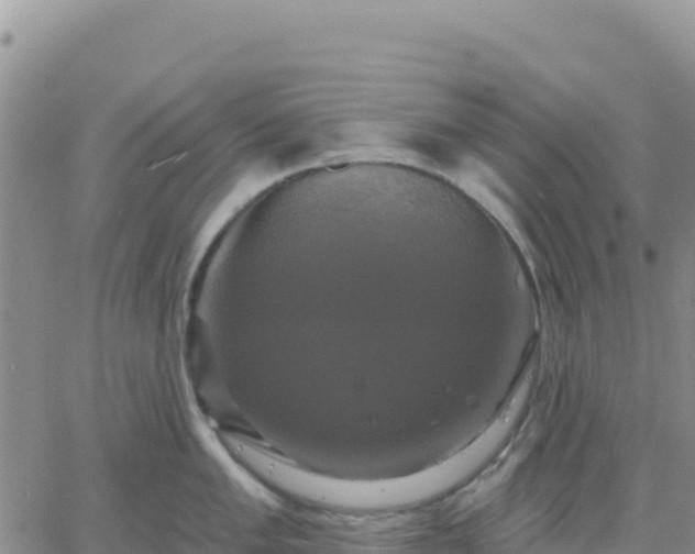 X0000061751005200512091631