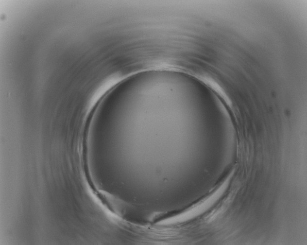 X0000061751007200512091631