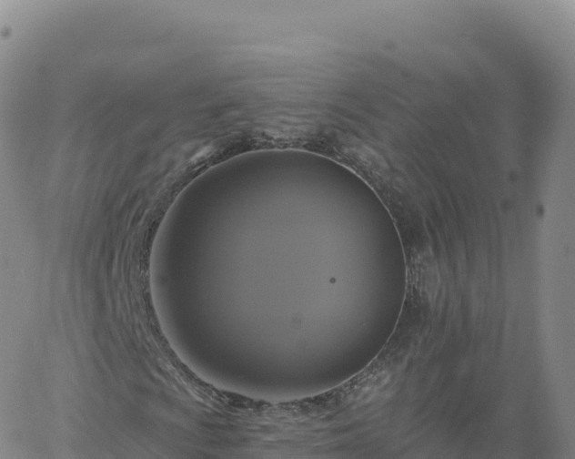 X0000061751009200512091630