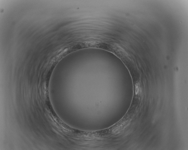 X0000061751011200512091630