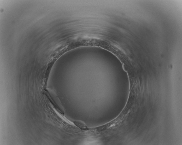 X0000061751013200512091630