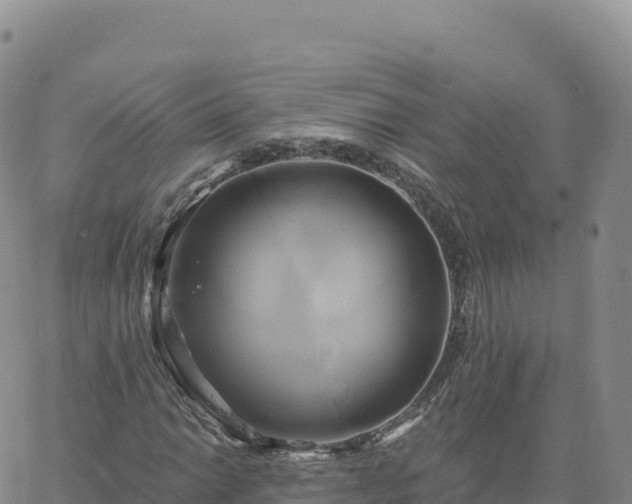 X0000061751014200512091630