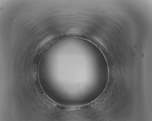 X0000061751015200512091630