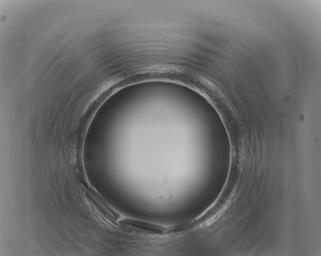 X0000061751017200512091630