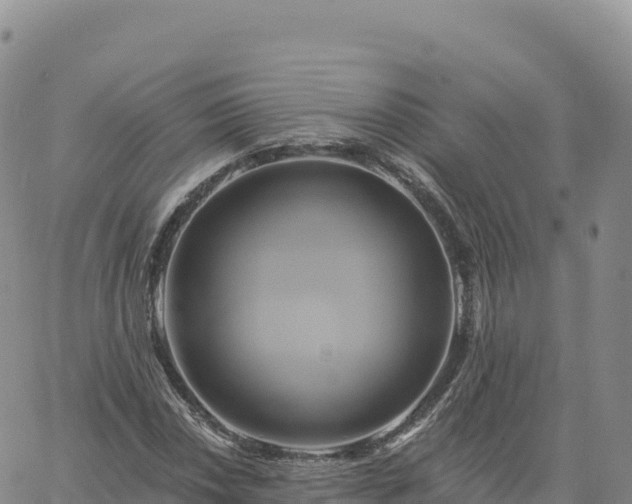 X0000061751018200512091630