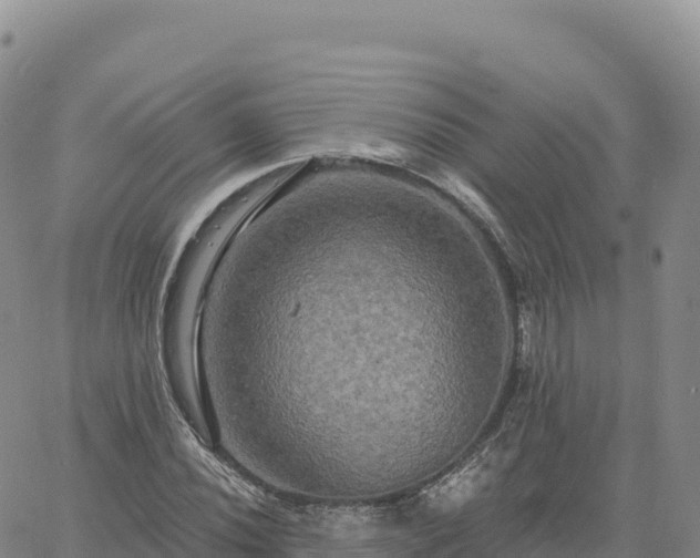 X0000061751020200512091630