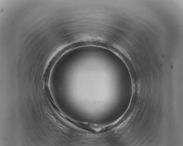 X0000061751021200512091630