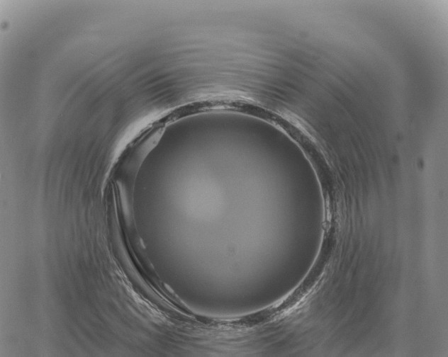 X0000061751022200512091630